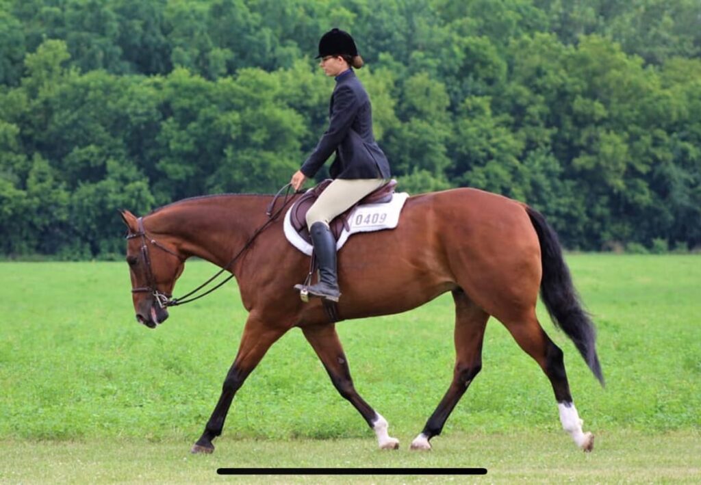 trot picture